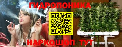 мдма Новодвинск