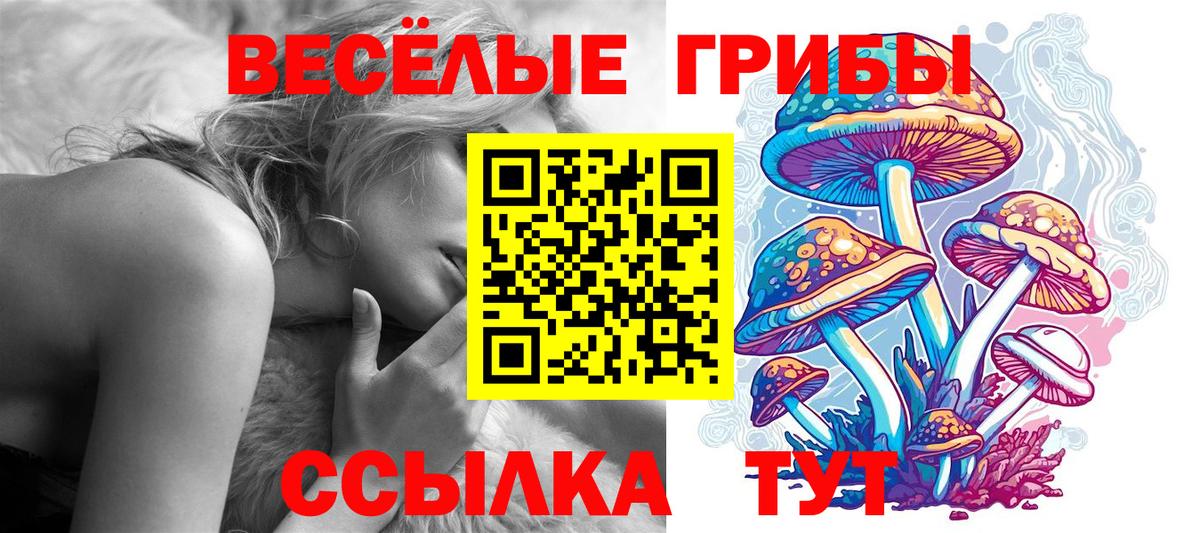 Псилоцибиновые грибы GOLDEN TEACHER  Псилоцибиновые грибы прущие грибы  Скопин  Вход с VPN 